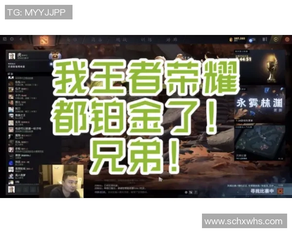 刘丽独家分享DOTA2游戏心得与技巧助你提升实力的全面指南