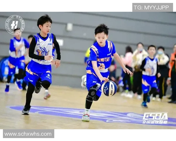 刘芳独家分享篮球心得与技巧助你提升球技的秘诀与经验