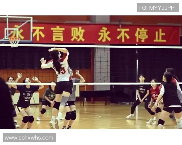 南京排球队的奋斗与荣耀：一段不平凡的排球纪实之旅