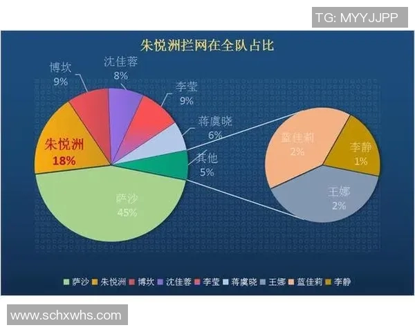 杭州排球队配合表现的数据分析与战术优化研究