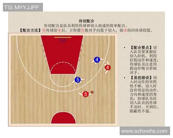 篮球的灵魂：深入解析北京篮球队的战术与团队意识