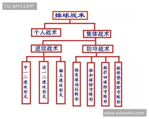 重庆排球队中路突破的战术解析与深度剖析 重庆排球队中路突破的战术解析与深度剖析