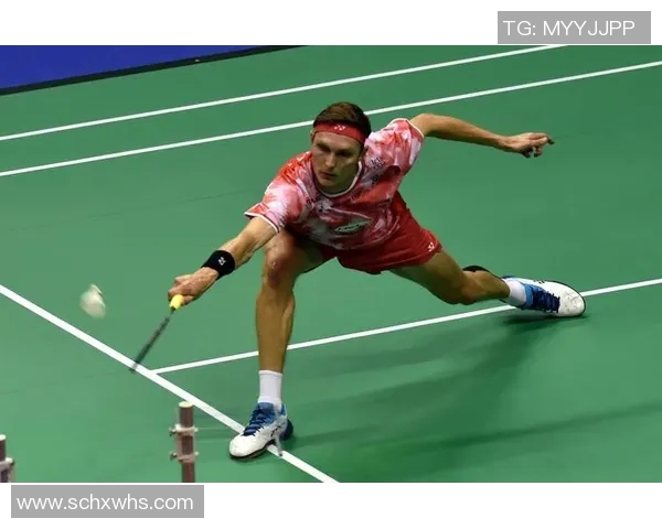 深圳羽毛球队与北京羽毛球队赛后复盘分析灵活性表现与战术对比 深圳羽毛球队与北京羽毛球队赛后复盘分析灵活性表现与战术对比