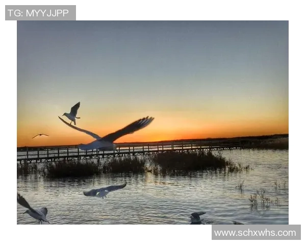 穿亚瑟士足球明星的荣耀之路与梦想追逐的激情瞬间 穿亚瑟士足球明星的荣耀之路与梦想追逐的激情瞬间