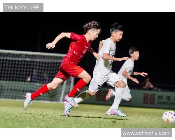 钦州市足球明星名单正式发布展现本地足球新风采与希望 钦州市足球明星名单正式发布展现本地足球新风采与希望